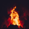 The Fire 